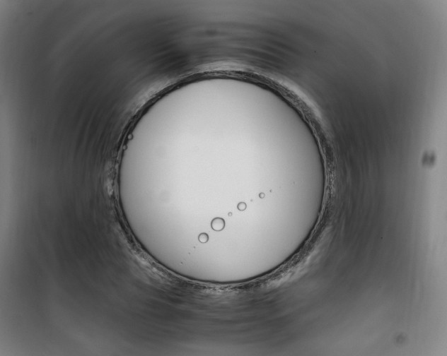 X0000101710929200807101405