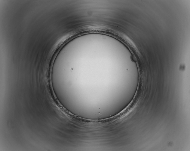 X0000101710930200807101405