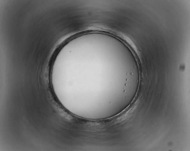 X0000101710931200807101405