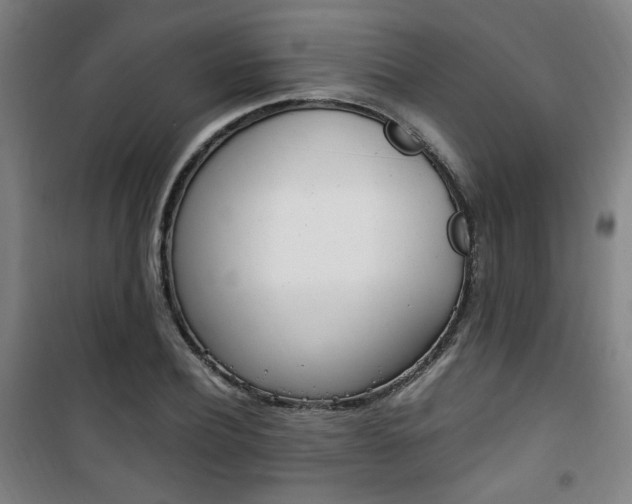 X0000101710932200807101405