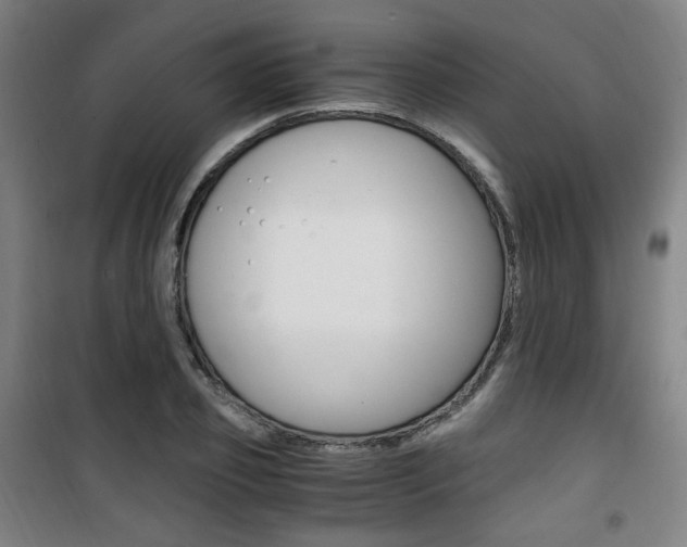 X0000101710933200807101405