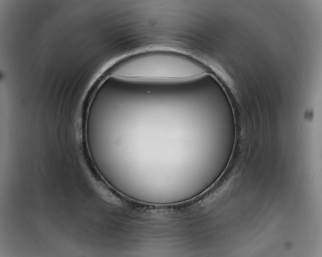 X0000101710934200807101405