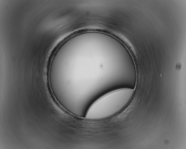X0000101710935200807101405