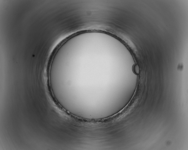 X0000101710936200807101405