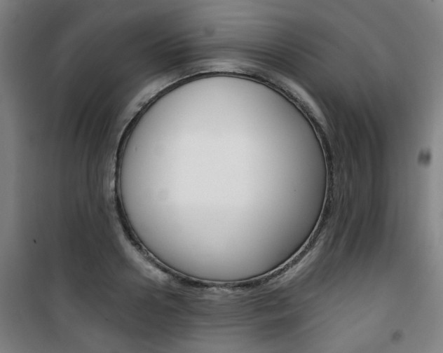 X0000101710938200807101405