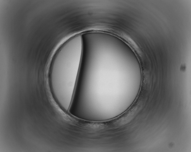 X0000101710939200807101405
