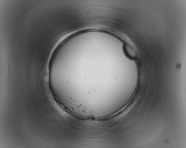 X0000101710940200807101405