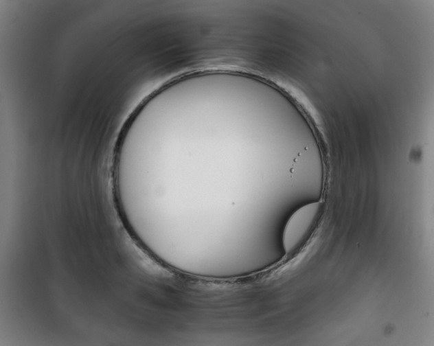 X0000101710941200807101405
