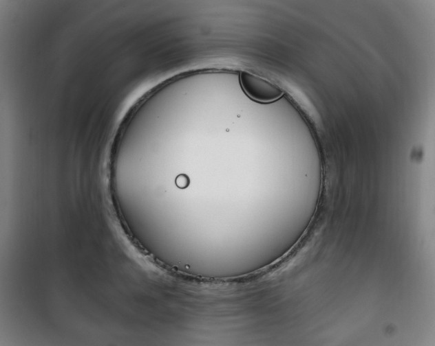 X0000101710944200807101405
