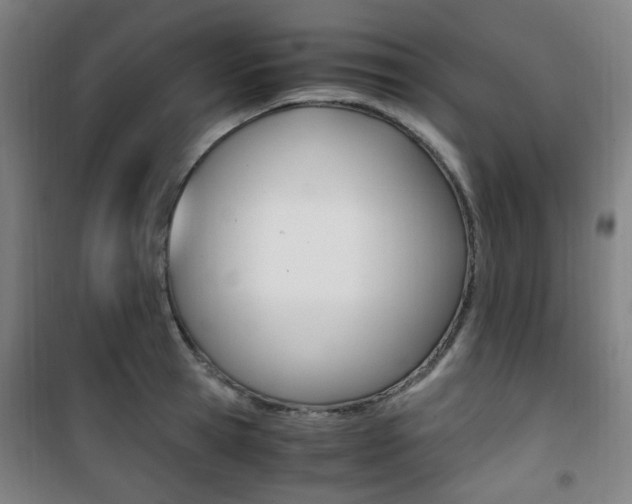 X0000101710945200807101405