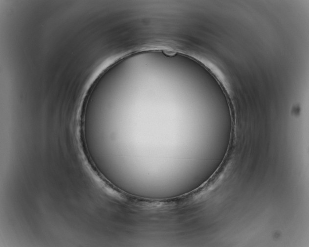X0000101710949200807101405