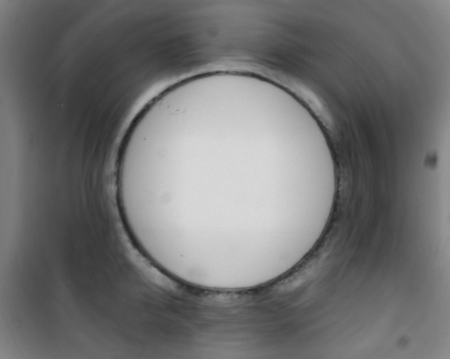 X0000101710950200807101405