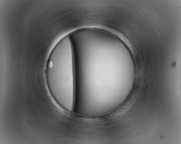 X0000101710951200807101405