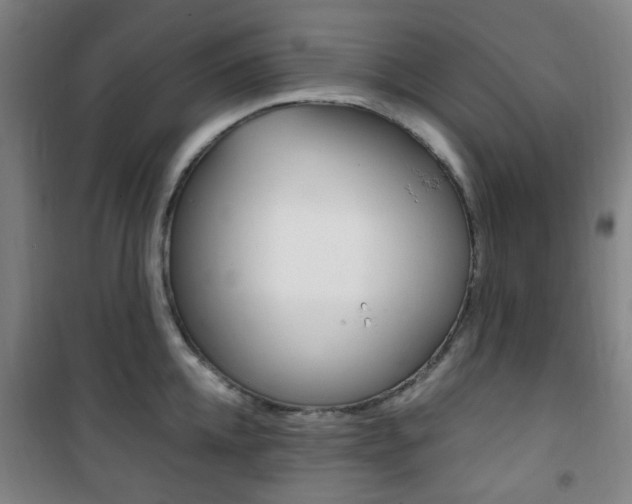 X0000101710952200807101405