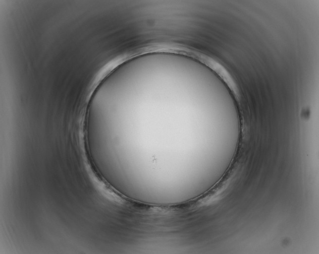 X0000101710954200807101405