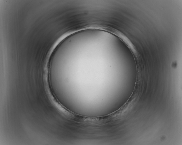 X0000101710955200807101405