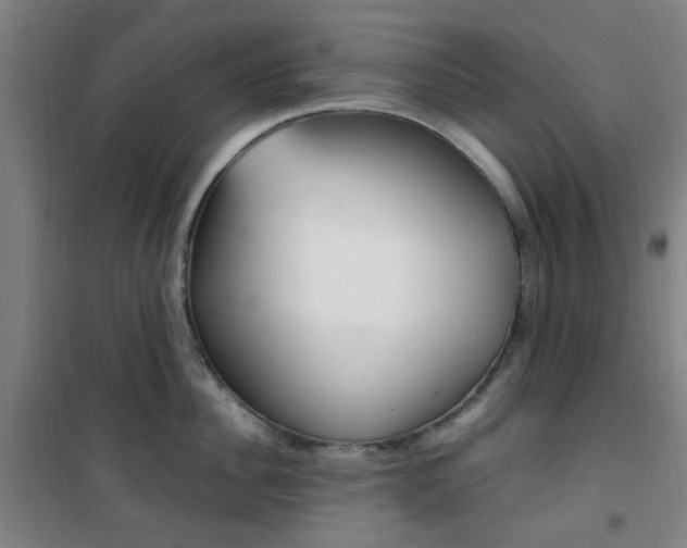 X0000101710956200807101405