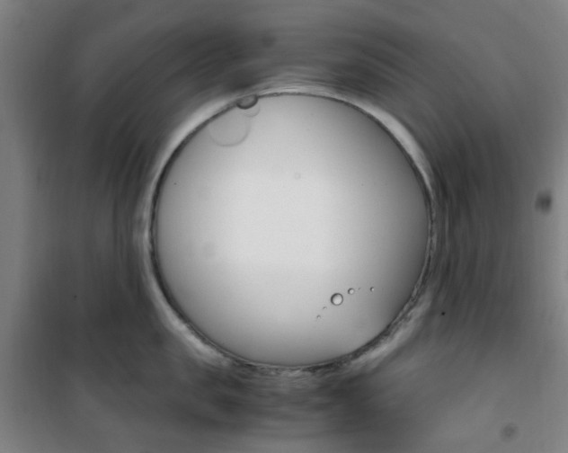 X0000101710957200807101405