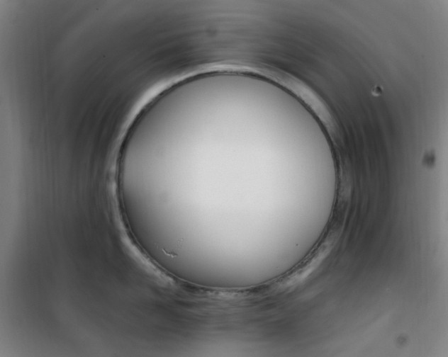 X0000101710958200807101405