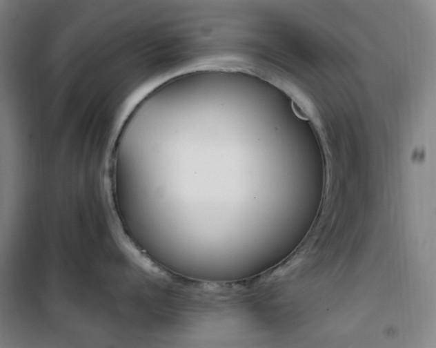 X0000101710960200807101405