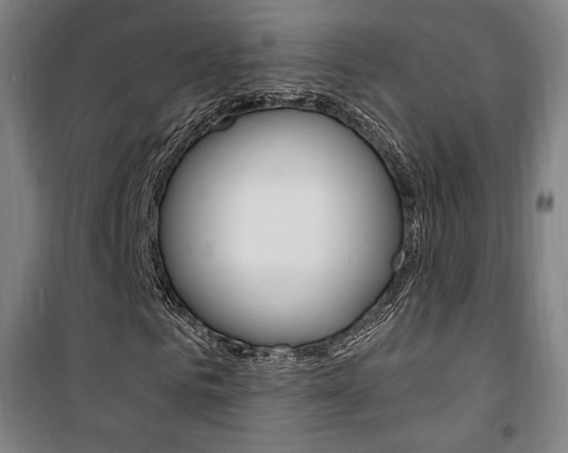 X0000101710961200807101405