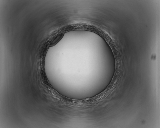 X0000101710965200807101405