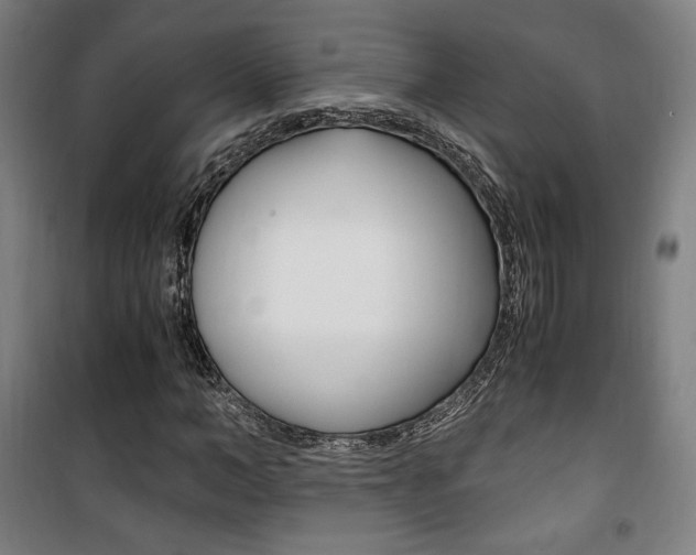 X0000101710966200807101405