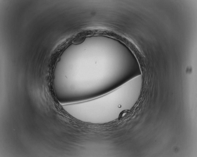 X0000101710967200807101405