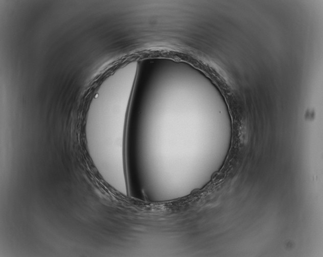 X0000101710968200807101405