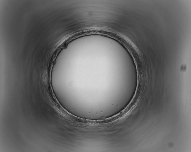 X0000101710969200807101405