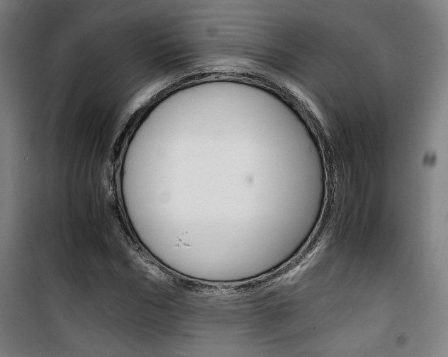 X0000101710970200807101405