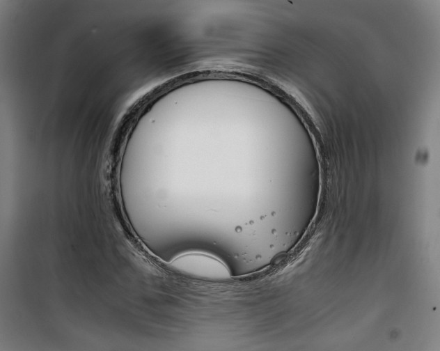 X0000101710971200807101405
