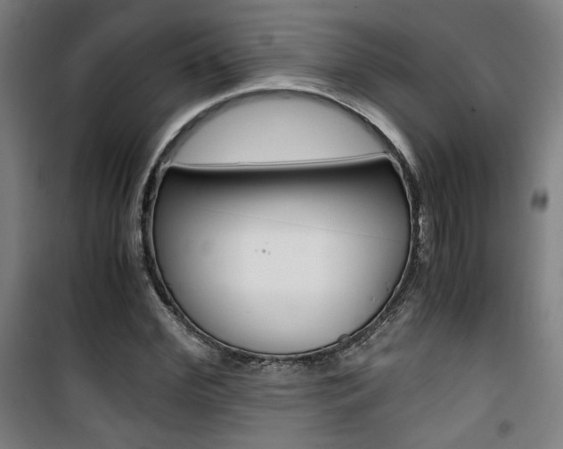 X0000101710972200807101405