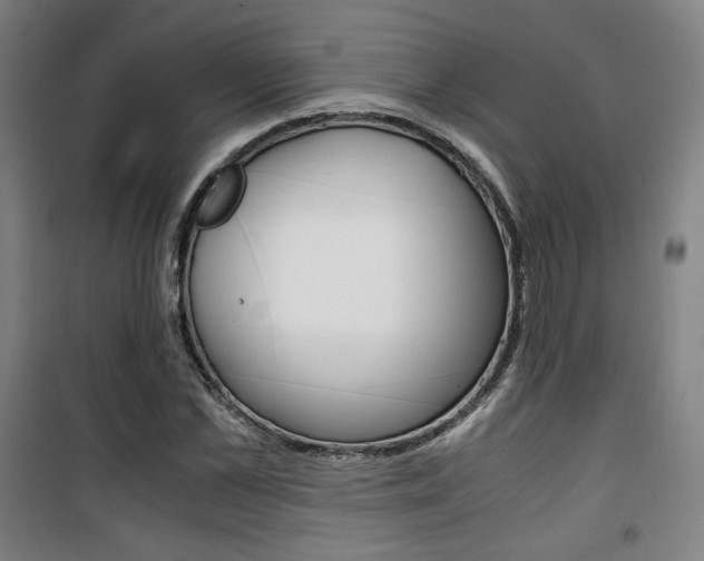 X0000101710973200807101405