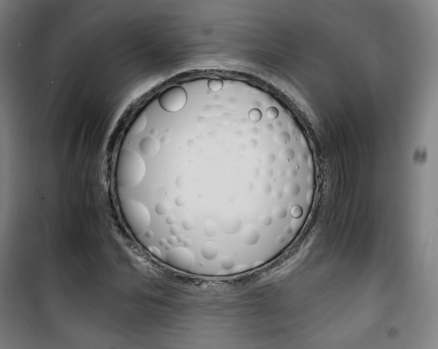 X0000101710974200807101405