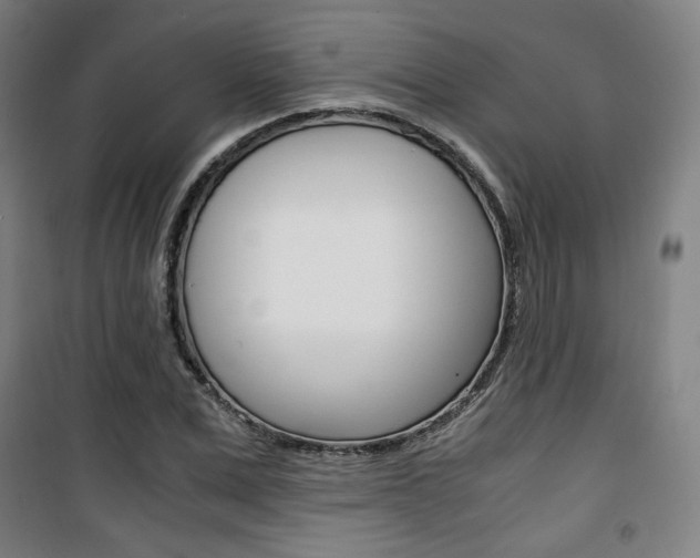 X0000101710975200807101405