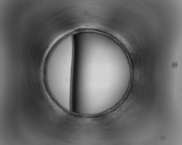 X0000101710976200807101405