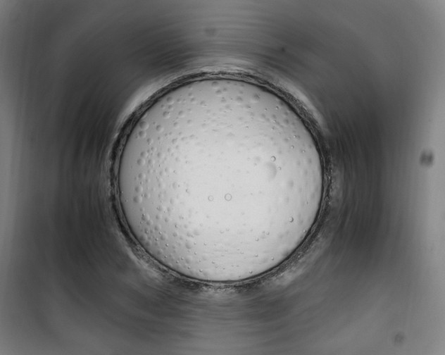 X0000101710978200807101405