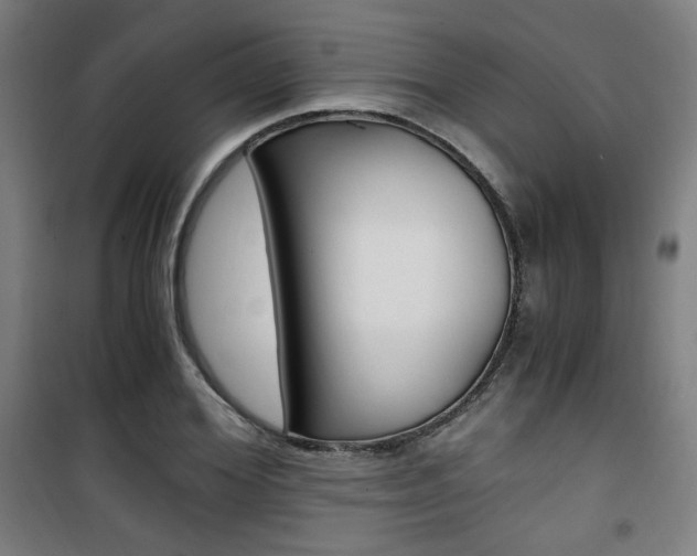 X0000101710980200807101404