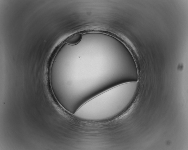 X0000101710981200807101404