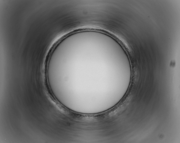 X0000101710982200807101404