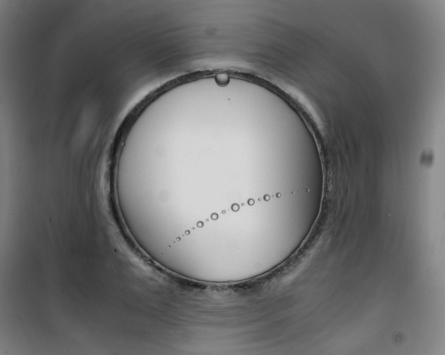 X0000101710983200807101404