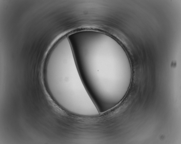 X0000101710984200807101404