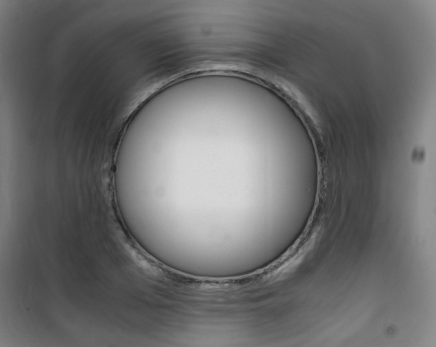 X0000101710985200807101404