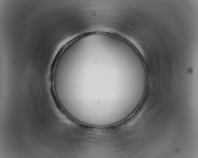X0000101710987200807101404