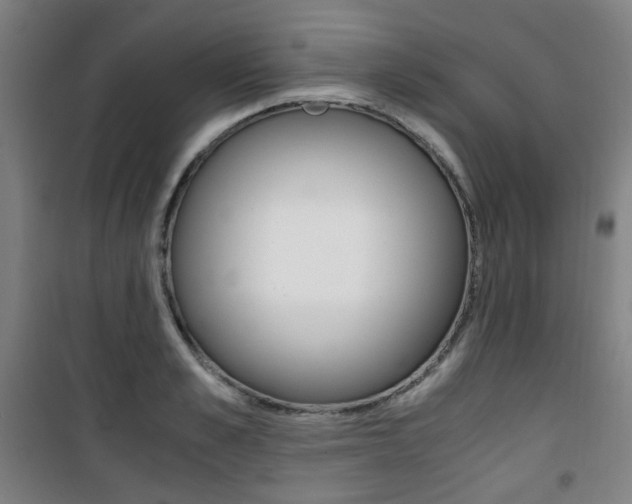 X0000101710989200807101404
