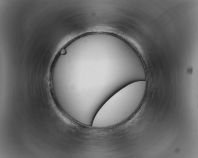 X0000101710990200807101404