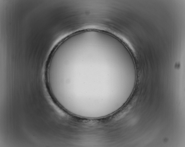 X0000101710991200807101404