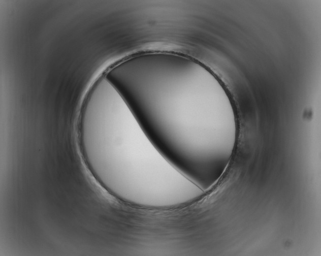 X0000101710992200807101404