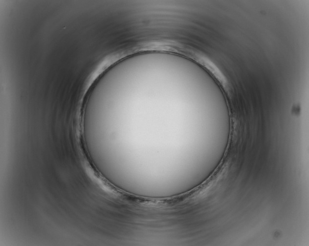 X0000101710994200807101404
